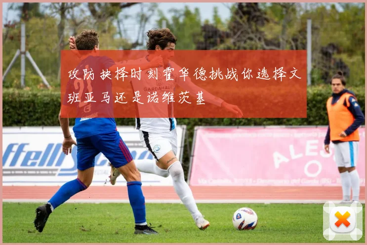 攻防抉择时刻霍华德挑战你选择文班亚马还是诺维茨基